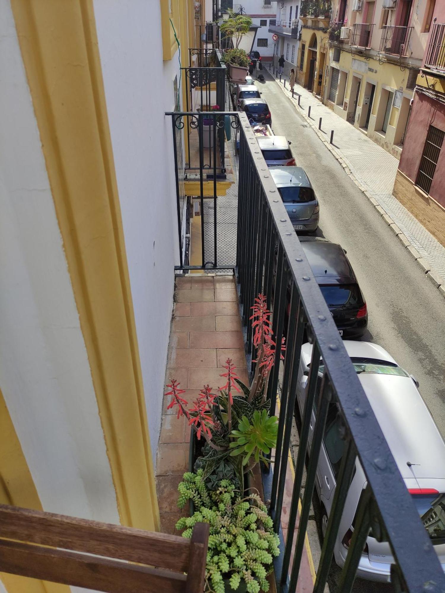 Vive Triana Apartment Seville Exterior photo